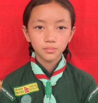 सुप्रिया घले 